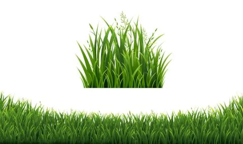 Green Grass Frames Set In Isolated White Background Stock Illustration