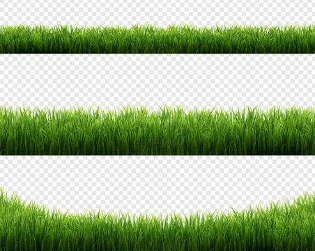 Green Grass Frames Set Transparent Background Stock Illustration