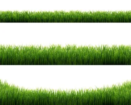 Green Grass Frames Set White Background Stock Illustration