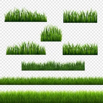 Green Grass Frames Transparent Background Stock Illustration