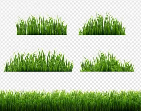 Green Grass Frames Transparent Background Stock Illustration