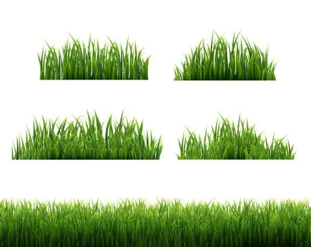 Green Grass Frames White Background Stock Illustration
