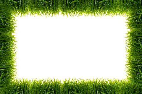 Green grass full frame Foto stock