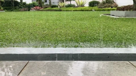 Green Grass In The Garden While It Is Raining Stock Footage 230015377