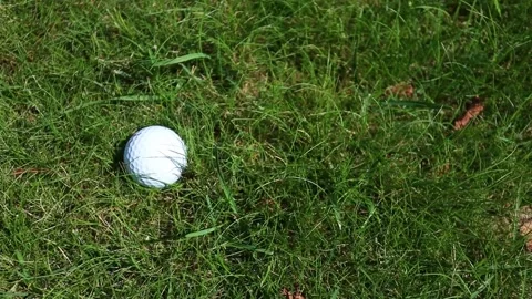 Green grass on a golf course, sunlight, wind, close-up Видео 166593499