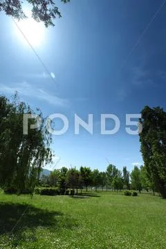 Green grass on a golf field Stock Illustration