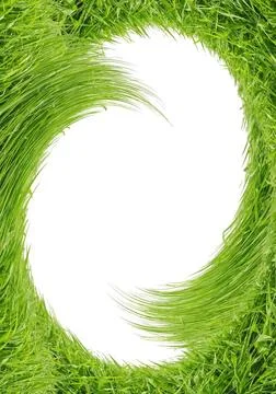 Green grass .Green grass as a framework on a white background Copyright: x... Stock Photos