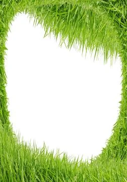 Green grass Green grass as a framework on a white background Copyright: xZ... Stock Photos