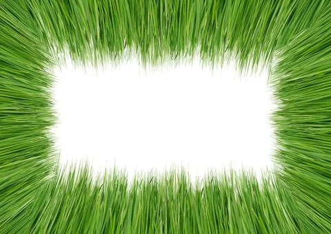 Green grass Green grass as a framework on a white background Copyright: xZ... Stock Photos