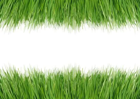 Green grass Green grass as a framework on a white background Copyright: xZ... Stock Photos