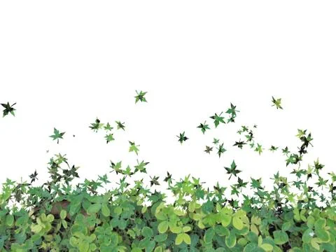 Green grass ground Stock Photos