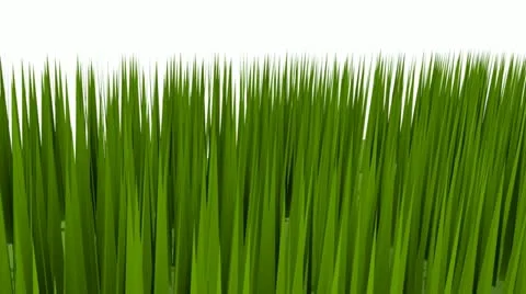 Green grass is growing Video stock 11293469