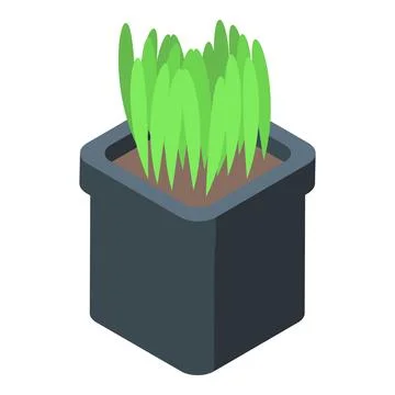 Green grass growing in a gray pot isometric view Stock Illustration