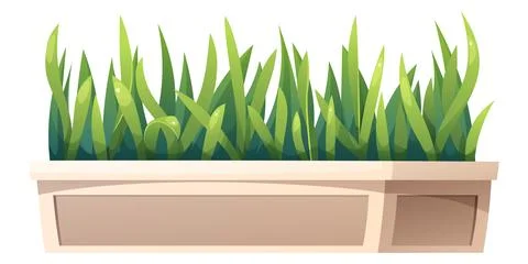 Green Grass Growing in Rectangular Planter Box. Home Garden and Balcony Dec.. Stock Illustration