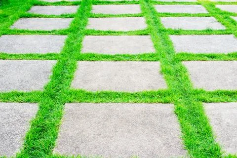 Green grass growth between cement walkway Foto stock