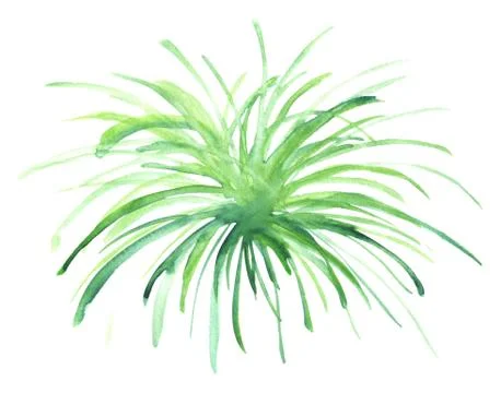 Green grass hand drawn Stock Illustration