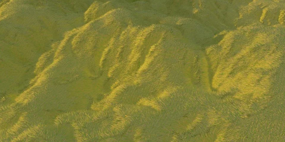 Green grass hills lit by warm sunlight with the white background aerial top view Illustrazione stock