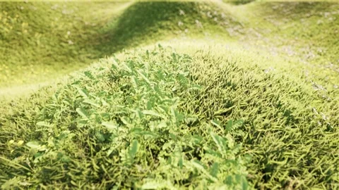 Green grass hills spring landscape nature bg Vídeo Stock 329294915