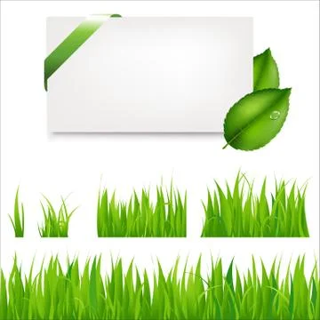 Green grass Stock Illustration