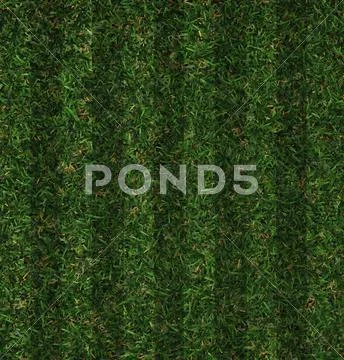 Green grass Stock Illustration