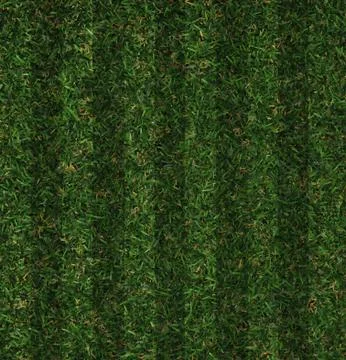 Green grass Stock Illustration