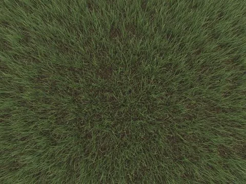 Green grass Stock Illustration