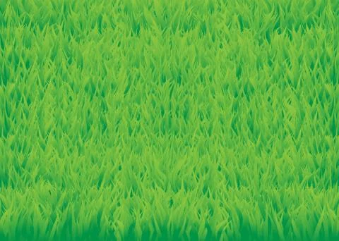 Green grass Stock Illustration