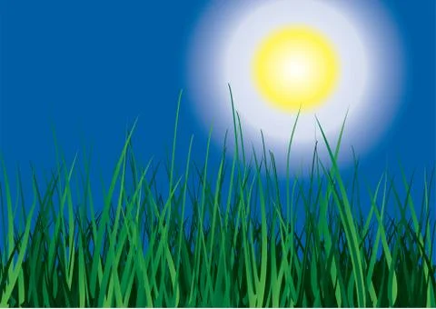 Green grass. Stock Illustration