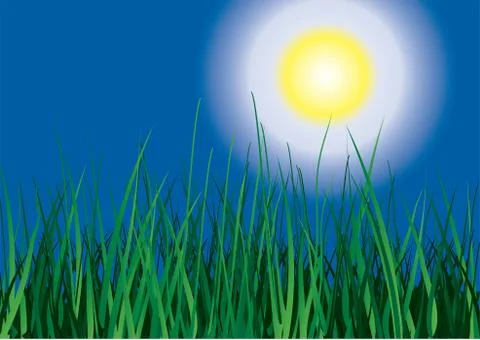Green grass. Illustrazione stock
