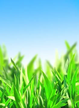Green grass Stock Illustration