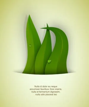 Green grass Stock Illustration