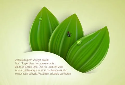 Green grass Illustrazione stock