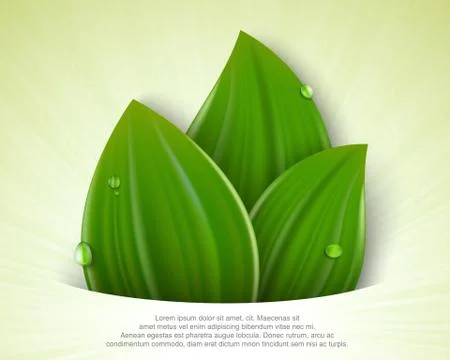 Green grass Stock Illustration