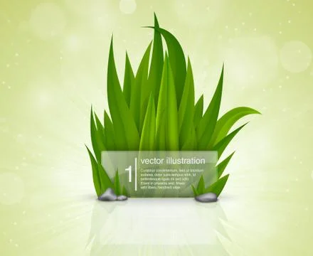 Green grass Stock Illustration