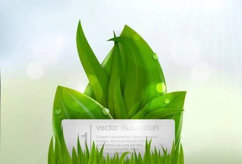 Green grass Stock Illustration