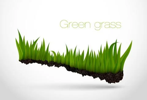 Green grass Stock Illustration
