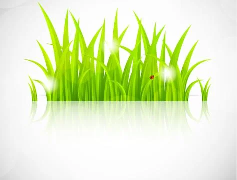 Green grass Stock Illustration