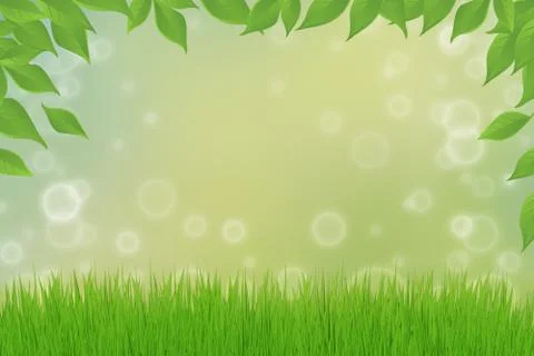 Green grass Stock Illustration