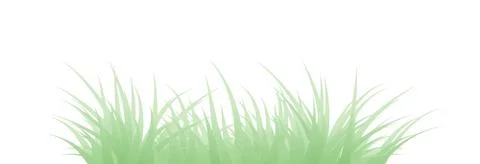 Green grass Stock Illustration