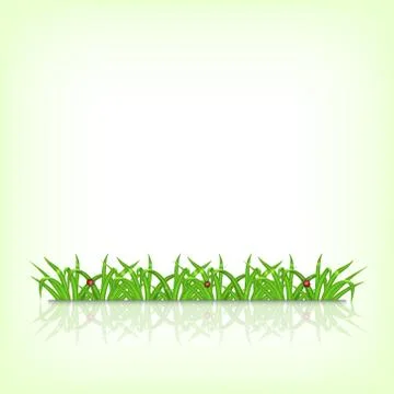Green grass Stock Illustration