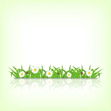 Green grass Illustrazione stock