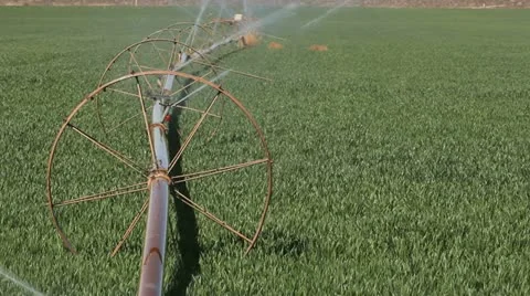 Green Grass Irrigation Stock Footage