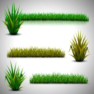 Green grass isolated Stock Illustration