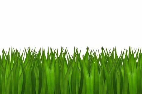 Green grass isolated Foto stock