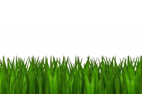 Green grass isolated Stock Photos