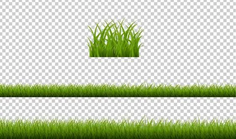 Green Grass Isolated Transparent Background Stock Illustration