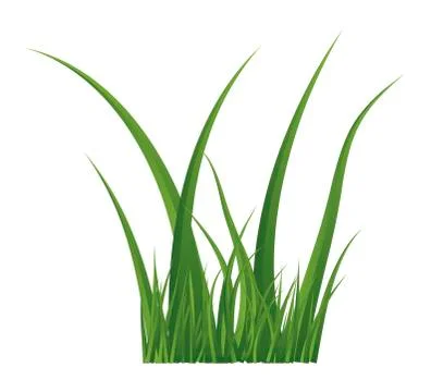 Green grass isolated vector symbol icon design. Stock Illustration