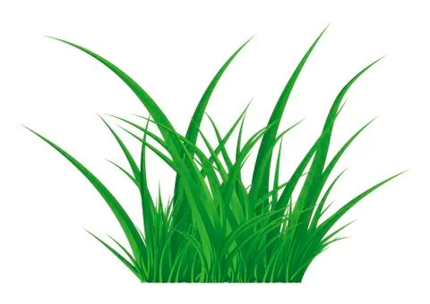 Green grass isolated vector symbol icon design. Illustrazione stock