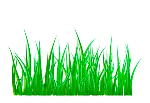 Green grass isolated vector symbol icon design. Illustrazione stock