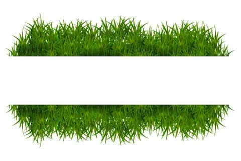 Green grass isolated on white background Stock Illustration
